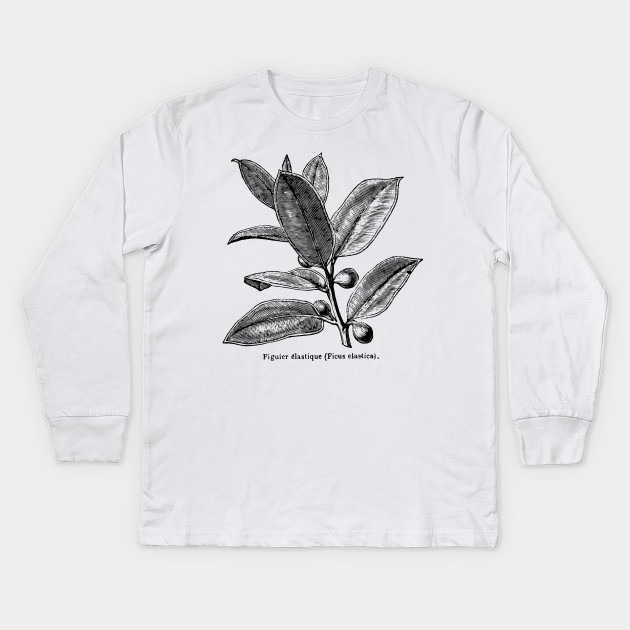 Ficus elastica (Rubber Tree) - Black Print